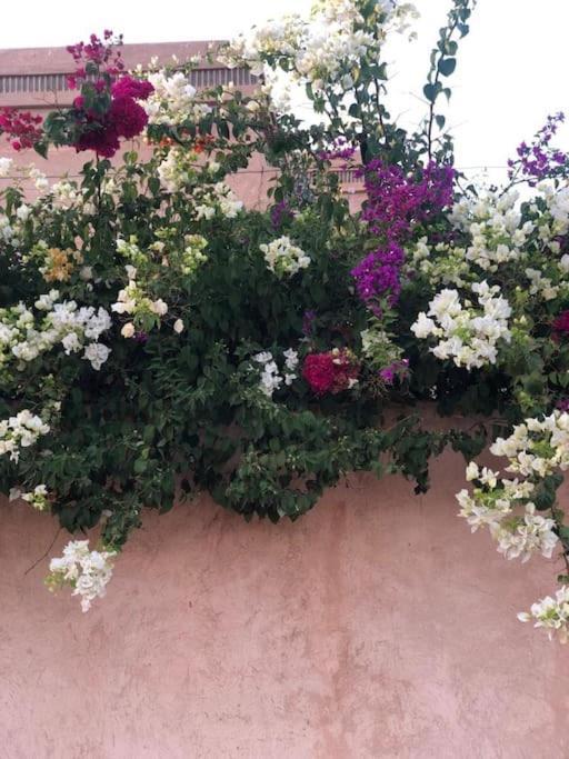 Jolyamelkis - Golf Marrakech Apartment Marrakesh