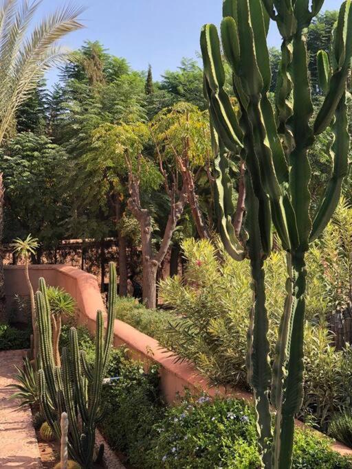 Appartamento Jolyamelkis - Golf Marrakech Marrakesh